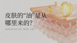 点击看大图 -玫莉蔻皮肤管理中心