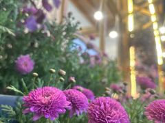 -香香腊排骨.野生菌火塘总店(束河店)