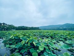 -印象西湖·最忆是杭州实景演出
