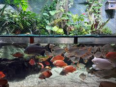 -太平洋海底世界