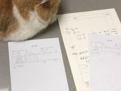 -爱侣宠医·鹦鹉专科·小型哺乳类·异宠专科(灵石路店)