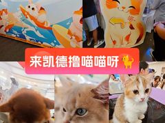 -凯德广场(金牛店)