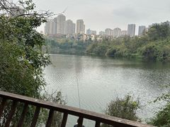 -重庆彩云湖湿地公园