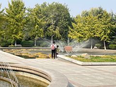 -石家庄市植物园