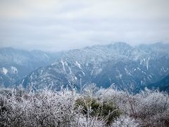 -卧龙自然保护区