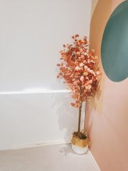 -More摩尔医美の注射线雕光电中心