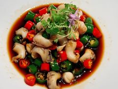 -三利音·浦之舟(滨江大道店)