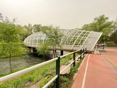 -黛秀湖公园