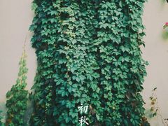 -北京张裕爱斐堡酒庄