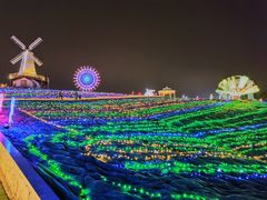 -大塘金香草谷