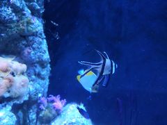 -成都浩海立方海洋公园