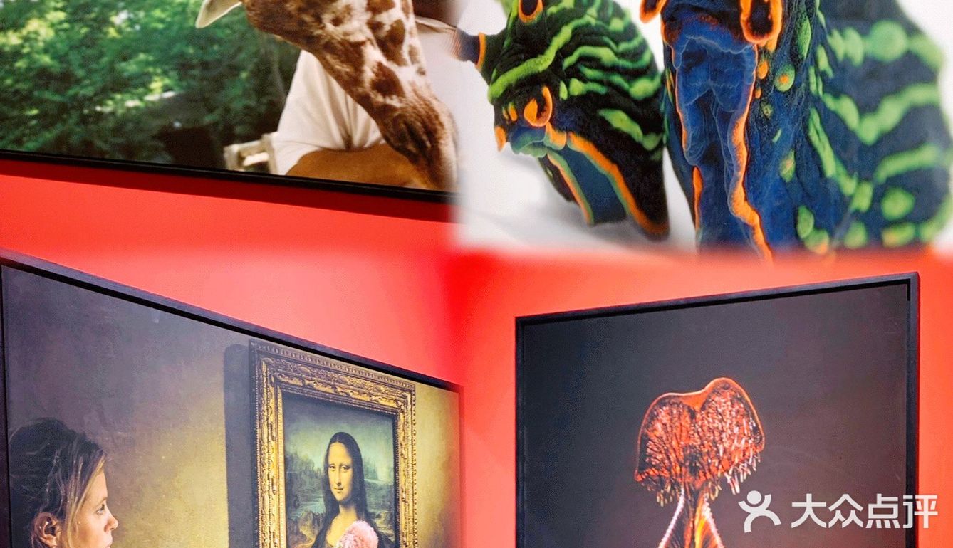 国家地理影像大展——超越130年的经典