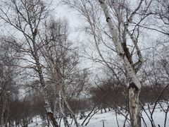 -西拉沐沦大峡谷园区