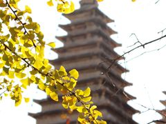 -北京石刻艺术博物馆(五塔寺)