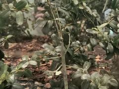 -上海昆虫博物馆