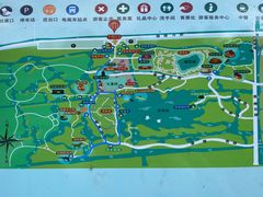 -上海海湾国家森林公园