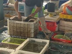 -霞涌市场海鲜摆卖区