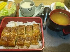 活鳗饭定食-水之惠鲜鱼料理(王府大街店)