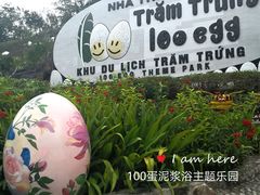 -100蛋泥浆浴