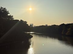 -海珠湖公园