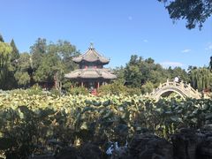 -莲池书院博物馆
