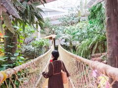 -正佳雨林生态植物园