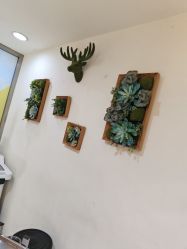 -丽时 Hair Salon