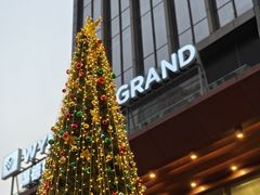 -深圳温德姆至尊酒店·大堂吧·户外花园