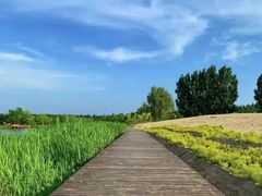 景点-东郊湿地公园