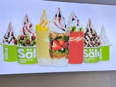 -Salud撒露欧洲冻酸奶(蓝色港湾店)