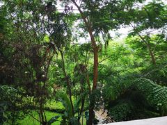 -西双版纳融创皇冠假日度假酒店