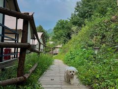 -北京山里寒舍度假酒店