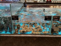 -艳阳天·非遗楚菜(武汉客厅店)