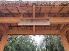 -北海金海湾红树林生态旅游区