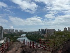 -大亚湾红树林城市湿地公园