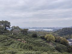 -杭州少年儿童公园