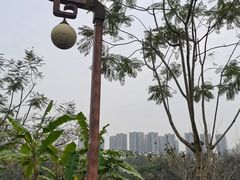 -重庆彩云湖湿地公园