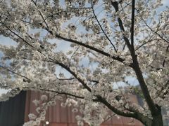 -龙美术馆(西岸馆)