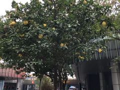 -圆融购物中心(南天成路店)