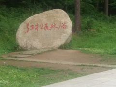 -五营红松林海景区