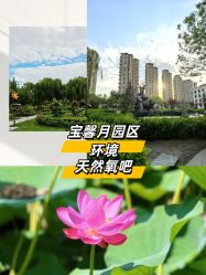 点击看大图 -宝馨月月子中心(友谊医院店)