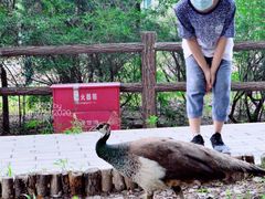 -北京麋鹿生态实验中心