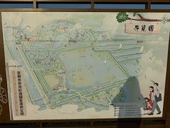 -池杉湖湿地公园