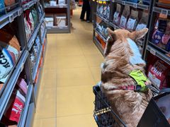 -MARSMART PETS火星宠物超市(1733店)