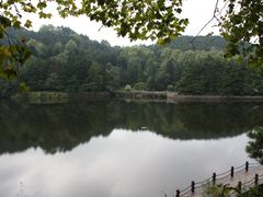 -庐山风景区花径公园