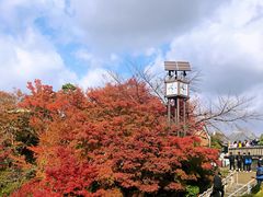 -有栖山 清光院 清水寺
