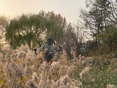 -郭守敬纪念馆