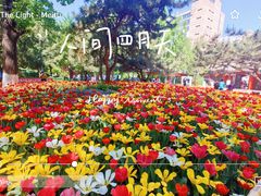 -宣武艺园