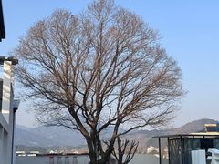 -安徽大学(龙河校区)