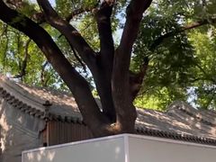-北京清河万象汇